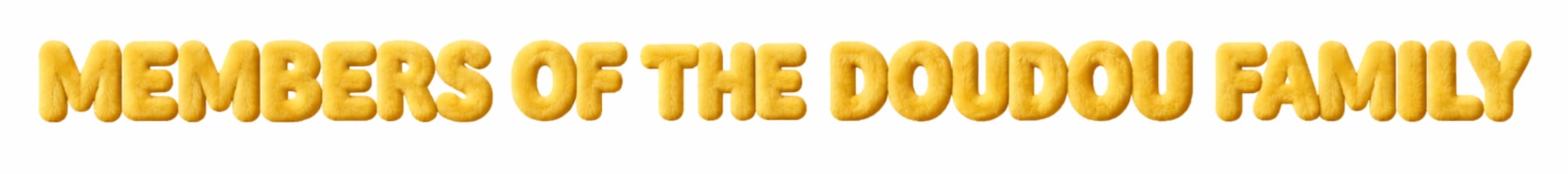 Members from Doudou Family